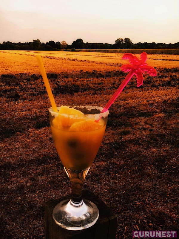 Sangria erfrischend weiß à la gurunest