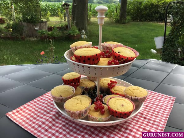 Johannisbeeren-Muffins vegan à la gurunest