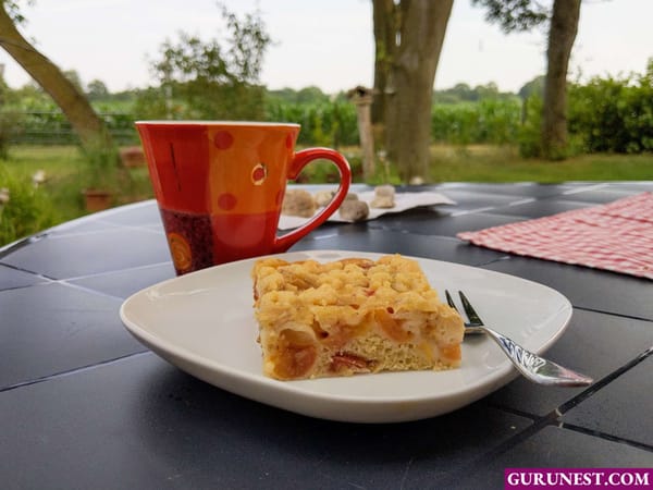 Kirsch-Bananen-Kuchen vegan à la gurunest