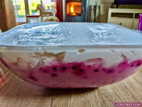 Beerendessert vegan à la gurunest