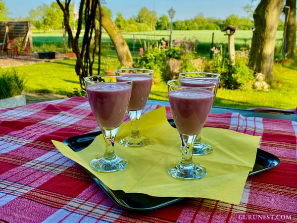 Erdbeer-Shake vegan à la gurunest